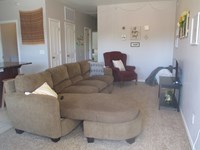 Living room in 2 Bdr Apt